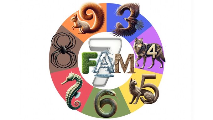 7FAMb.jpg